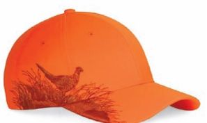 Blaze Orange Blank