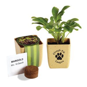 Prime Line Flower Pot Set With Marigold Seeds