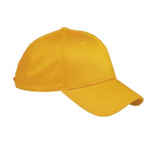 Big Accessories Structured Twill Cap
