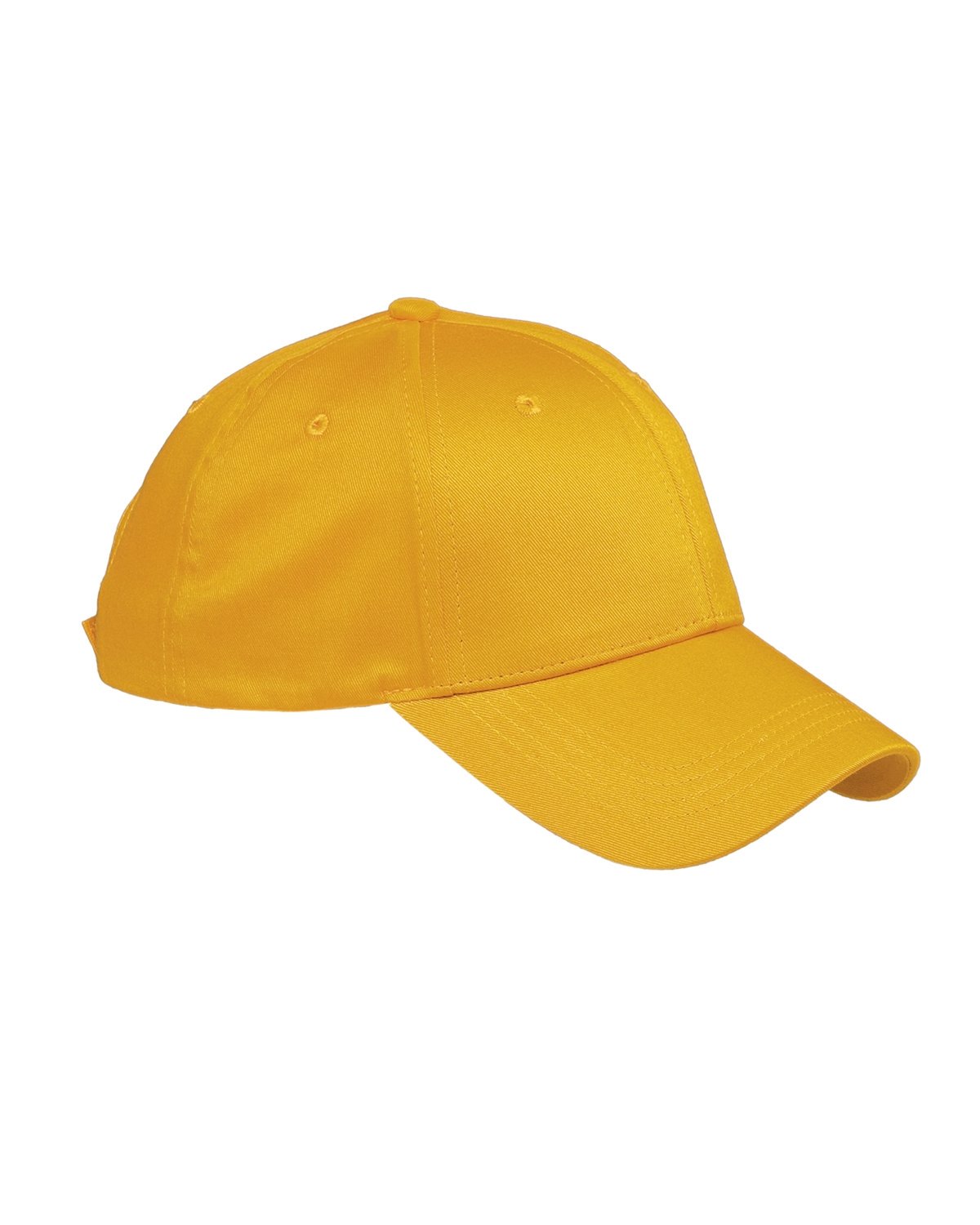 Big Accessories Structured Twill Cap