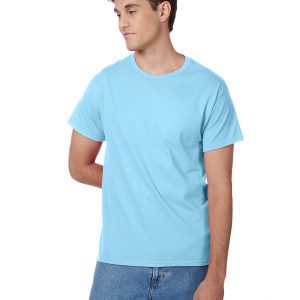 Hanes Printables Men's Authentic-T T-Shirt