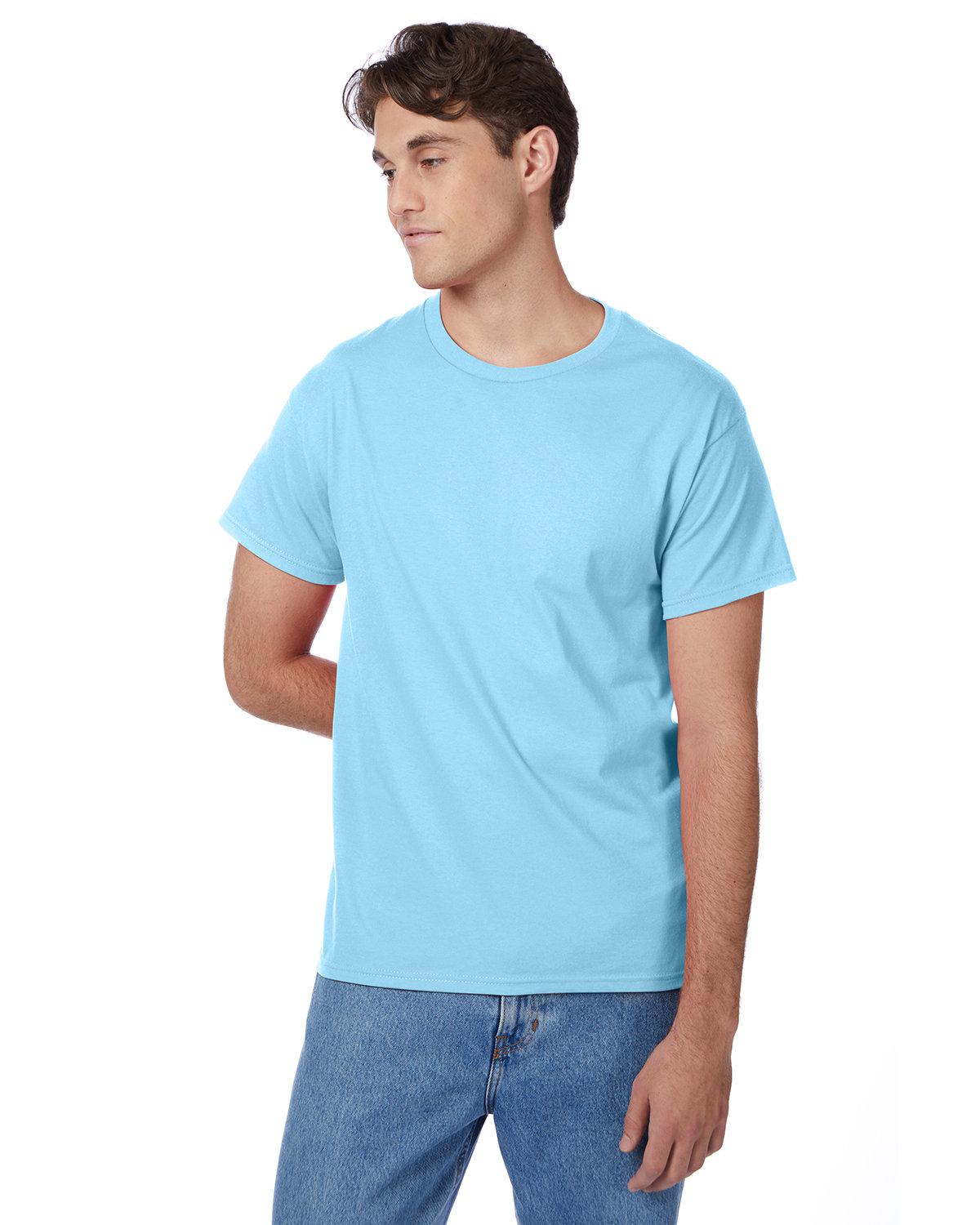 Hanes Printables Men's Authentic-T T-Shirt
