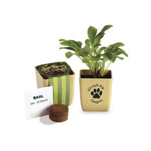 Prime Line Flower Pot Set With Basil Seeds