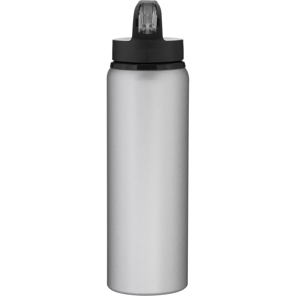 28 oz H2go Allure (Matte Silver)