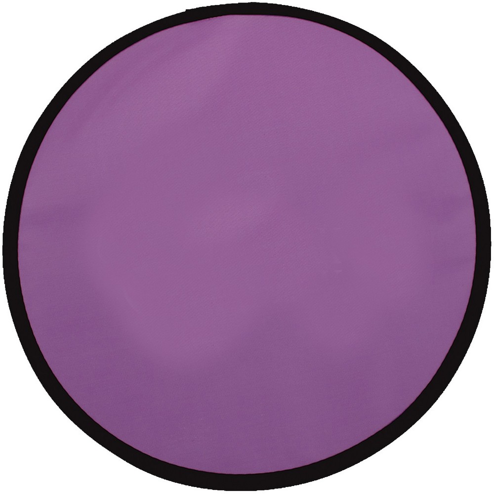 Flying Disc with Pouch