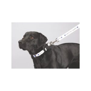 Full Color 1" Wide Premium Pet Leash