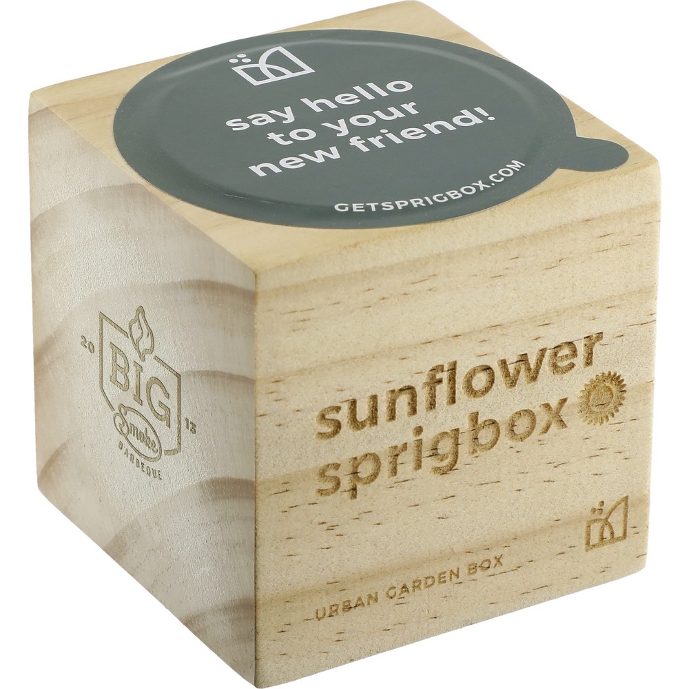 Sprigbox Sunflower Grow Kit