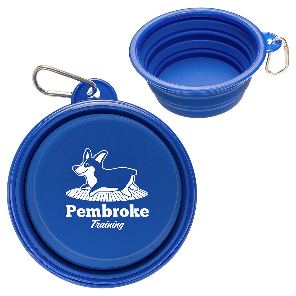 Blue Logo