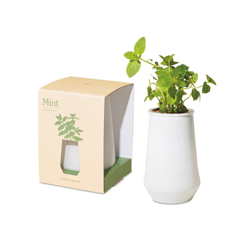 Modern Sprout Tapered Tumbler Grow Kit - White-Mint