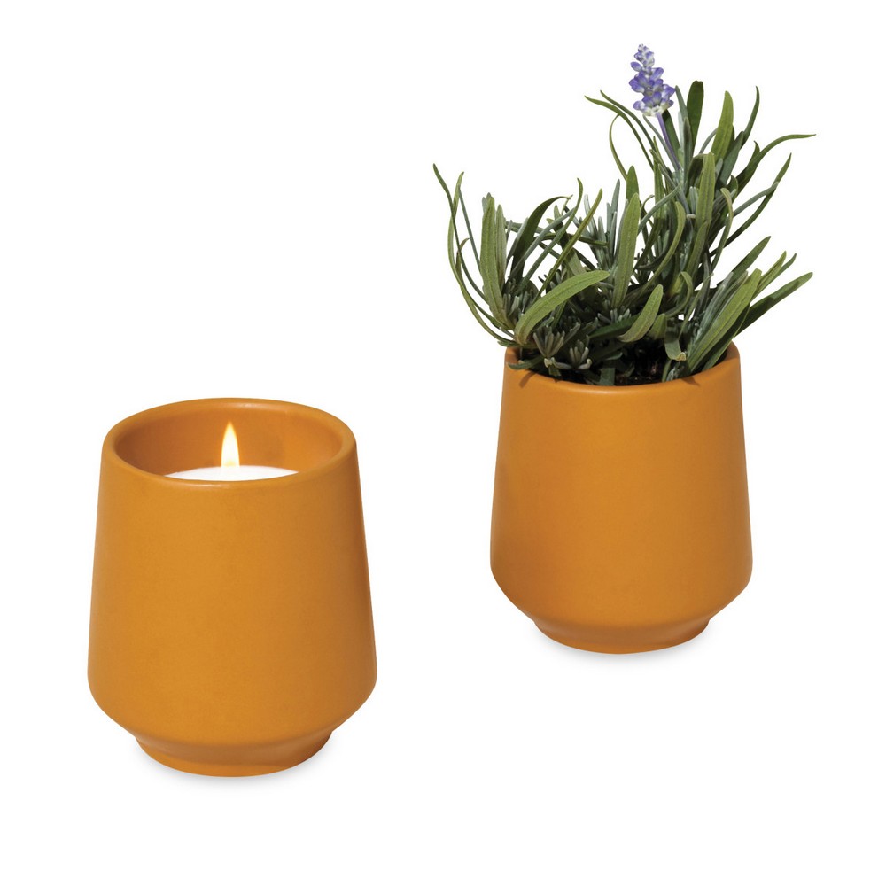 Modern Sprout® Rooted Candle - Mustard-Lavender