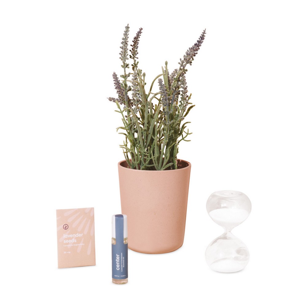 Modern Sprout® Seek Peace Take Care Kit - Lavender - Seek Peace