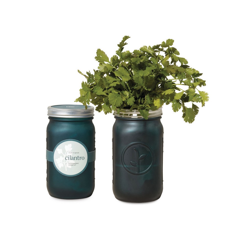 Modern Sprout® Indoor Herb Garden Kit - Emerald