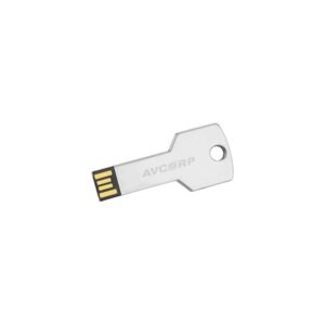 Key Flash Drive 1 Gb