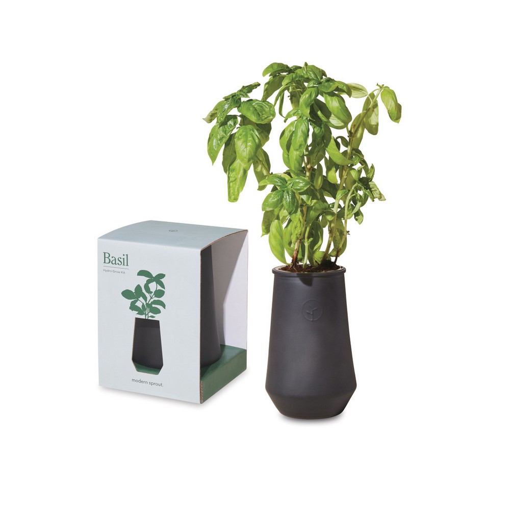 Modern Sprout Tapered Tumbler Grow Kit - Black-Basil