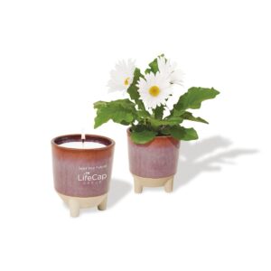 Modern Sprout® Glow & Grow Live Well Gift Set - Burgundy: Wildflower w- Daisy Seeds