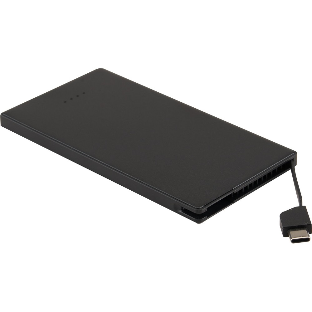 4000 mAh Cable Keeper Power Bank with Type-C Tip