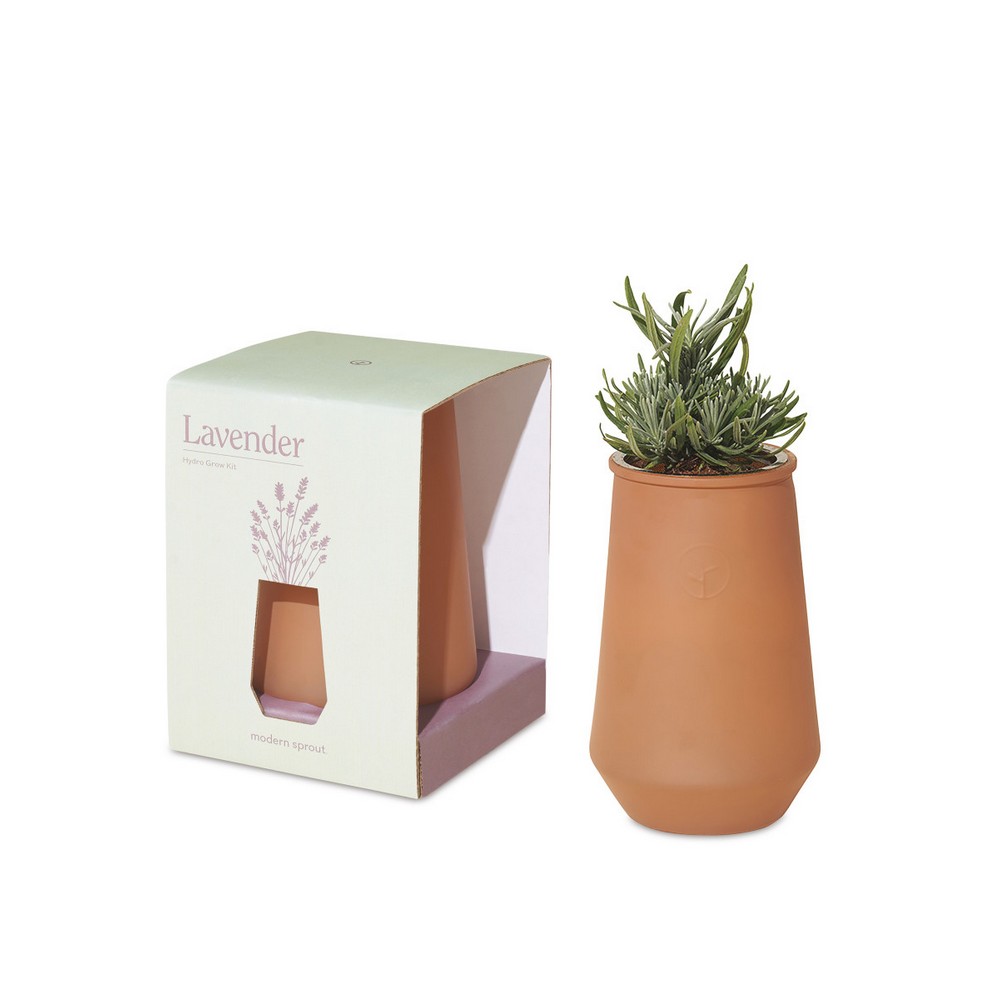 Modern Sprout Tapered Tumbler Grow Kit - Sahara-Lavender