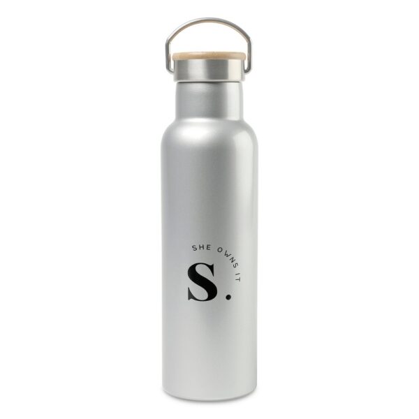 Aviana™ Metallics Double Wall Stainless Steel Bottle - 20 Oz. - Metallic Silver