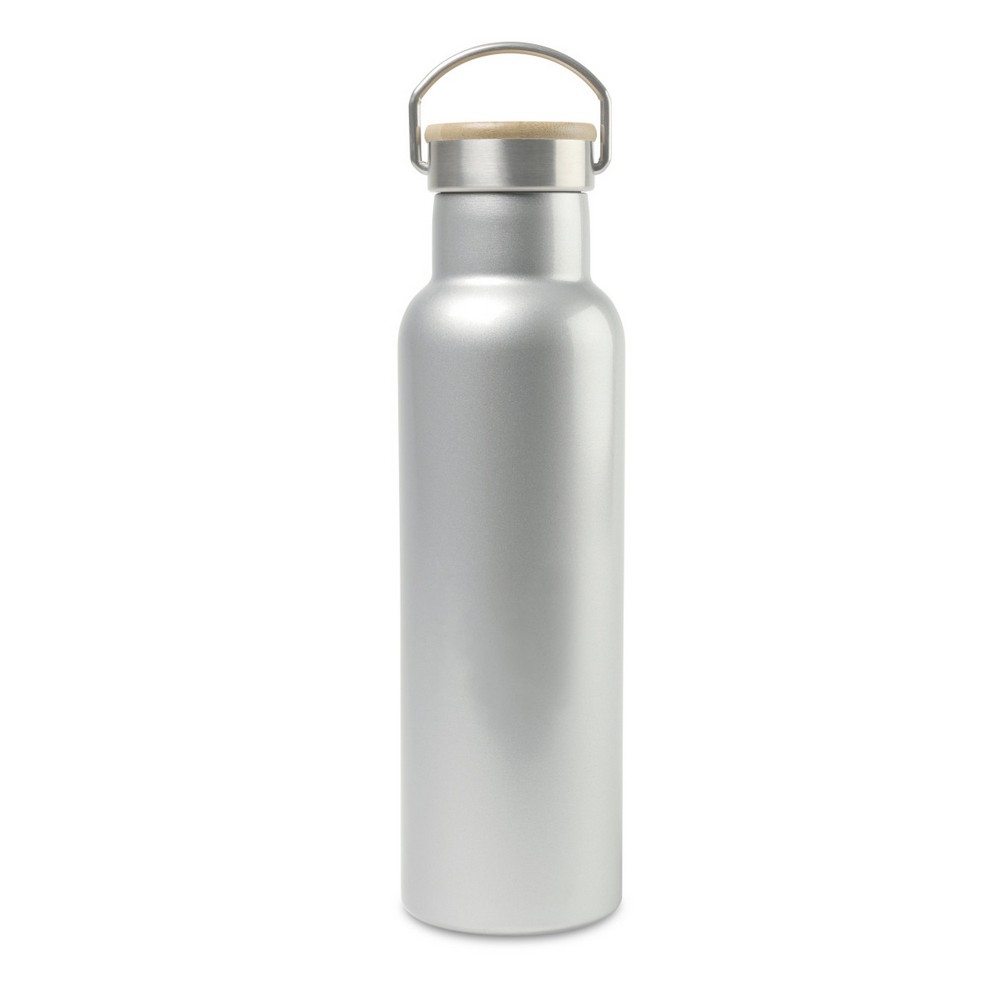 Aviana™ Metallics Double Wall Stainless Steel Bottle - 20 Oz. - Metallic Silver