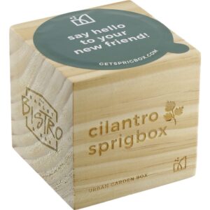 Sprigbox Cilantro Grow Kit