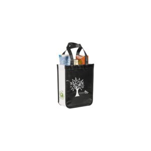 Small Laminated Non-Woven Gift Tote Bag