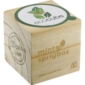 Sprigbox Mint Grow Kit