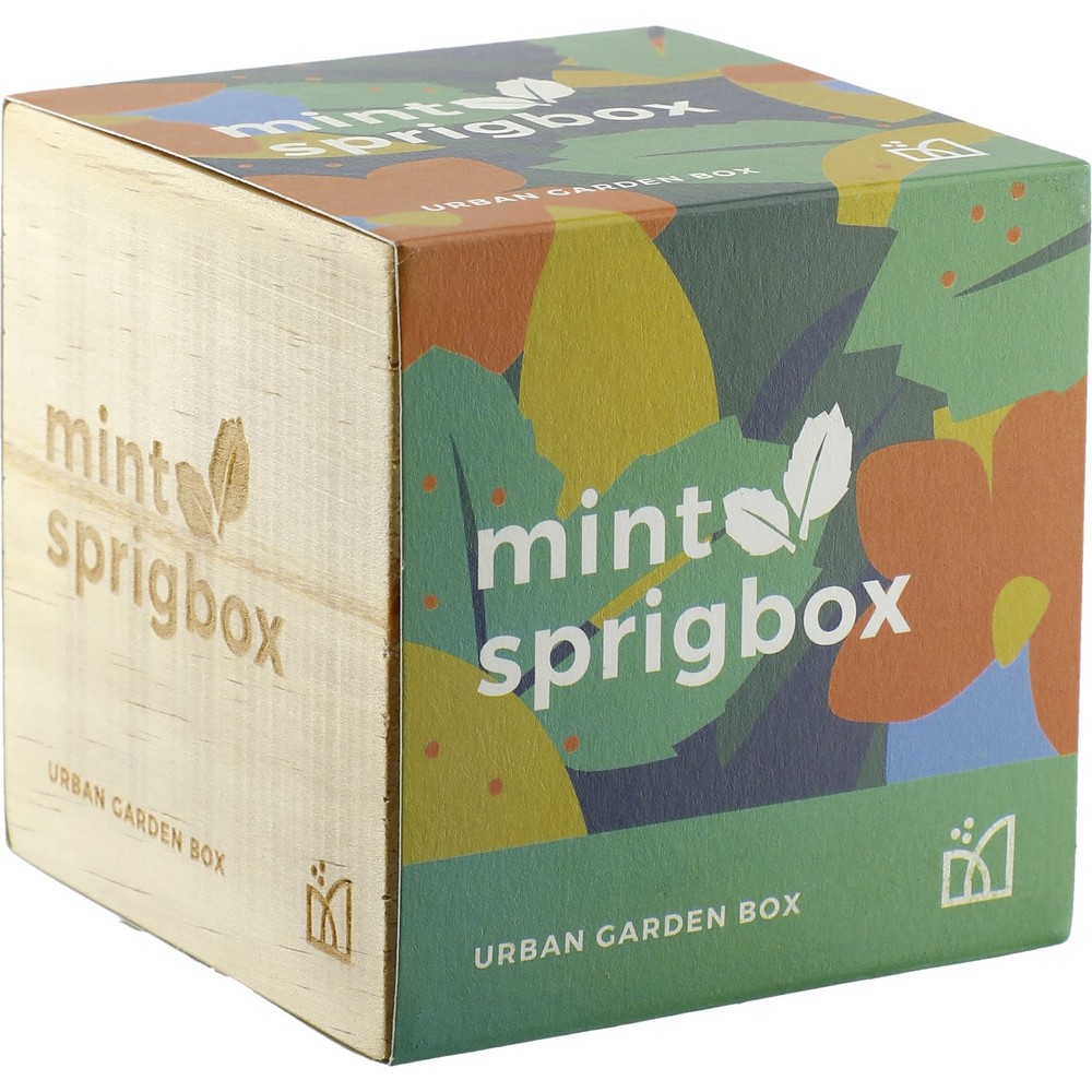Sprigbox Mint Grow Kit