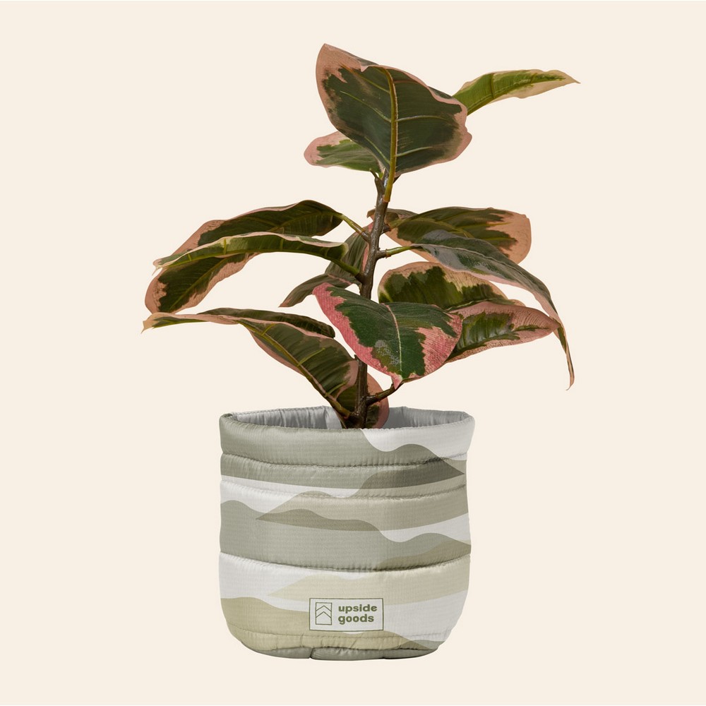 Mary Jane Plant Bag - Puff Puff