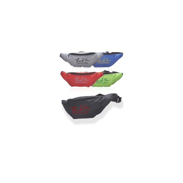 Basic Delsey Polyster Fanny Packs