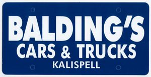 0.023 License Plate Insert w/Single Color Imprinting