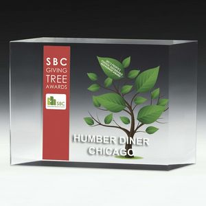 1 1/4" Thick Freestanding Acrylic Awards - 6" - 4 Color Process