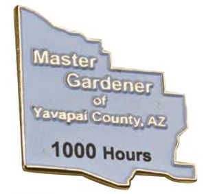 1/2" Copper Die Struck Lapel Pins w/ Synthetic Enamel