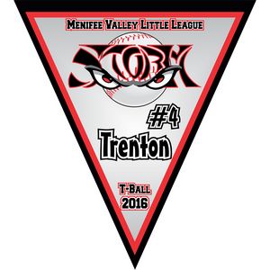 13 Oz. Matte Vinyl Personalized Triangle Banner