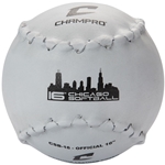 16 Chicago Softball