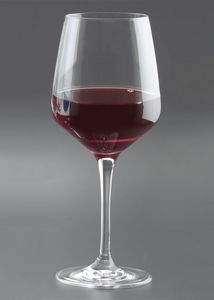 17.25 Oz. Rona Wine Stemware - Etched