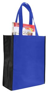 2 Tone Tote/Book Bag