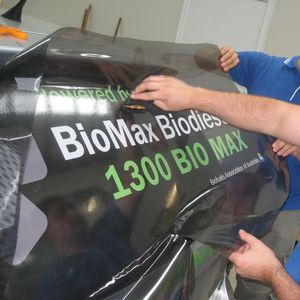 20'' Perforated Mesh Window Decals