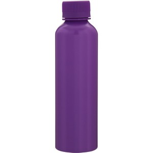 20.9 oz London Water Bottle (Matte Royal Purple)