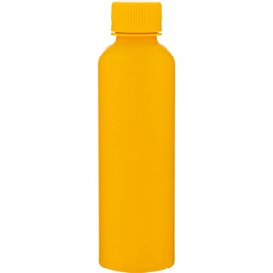 20.9 oz London Water Bottle (Matte Triumph)