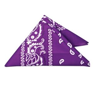 22" Bandannas (12 Pack)