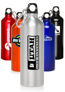24 Oz. Aluminum Water Bottle