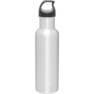 24 oz h2go Bolt Water Bottle (Stainless)