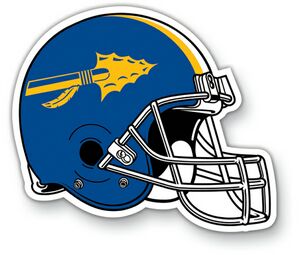 30 Mil Helmet Car Magnet - Full Color