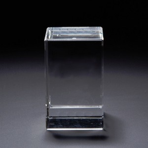 3D Crystal Block Medium Award
