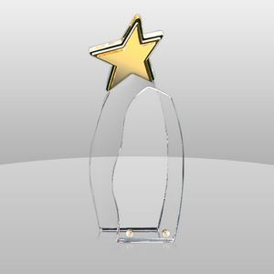 3D Star Award w/Removable Front Panel (11"x4 1/2"x1 1/2")