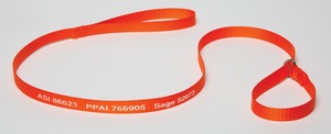 4' Neon Bright Pet Slip Leads 2-sided