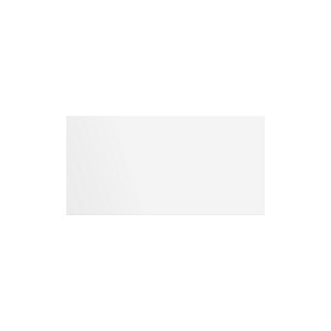 4" x 2" Rectangle Roll Labels