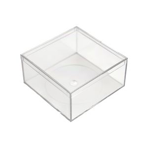 4" x 4" x 2" Clear Plastic Box