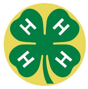 4H Texture ToneÂ® Label