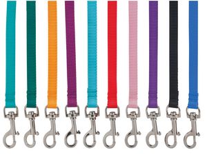 5' Personalized Bolt-Snap Leashes